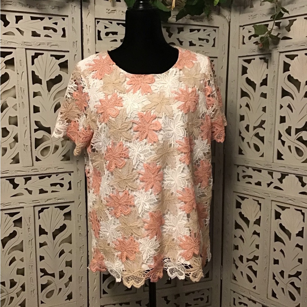 ALFRED DUNNER SO CUTE PINK & TAN CROTCHET LACE STRETCHY SHORT SLEEVE TOP